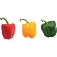 Pepper Bell Free PNG HQ