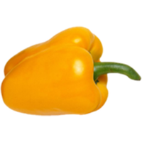 Sweet Pepper Yellow Bell Free PNG HQ