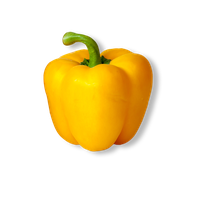 Single Pepper Yellow Bell Free HQ Image
