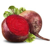 Beetroot Slice Free Clipart HD