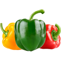 Capsicum Pepper Bell PNG Image High Quality
