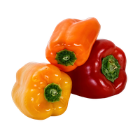Sweet Pepper Bell Free Clipart HQ