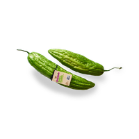 Gourd Bitter Organic PNG Image High Quality