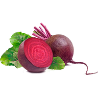 Vegetable Beetroot PNG Image High Quality
