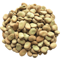 Beans Dried PNG Image High Quality