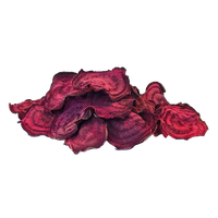 Beetroot Sliced Dried Free Clipart HQ
