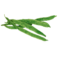 Fresh Beans PNG Image High Quality