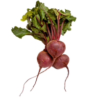 Beetroot Fresh Vegetable Free Download PNG HD