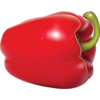 Fresh Pepper Vector Red Bell