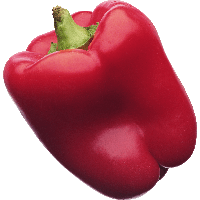 Fresh Pepper Bell Free Download PNG HD