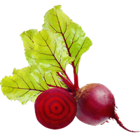 Beetroot Fresh Red Sliced Free Photo