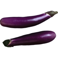 Brinjal Eggplant PNG Download Free