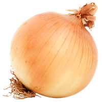 Brown Onion PNG Image High Quality