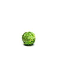 Sprouts Brussels Free PNG HQ
