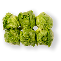 Sprouts Brussels Free Download PNG HD