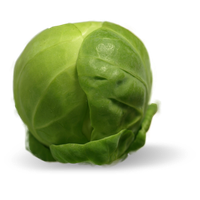Sprouts Brussels PNG Download Free