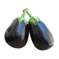 Brinjal Eggplant Bunch Free Clipart HQ