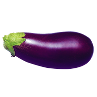 Brinjal Eggplant Free Clipart HQ