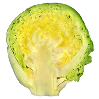 Sprouts Brussels Half Free Transparent Image HQ