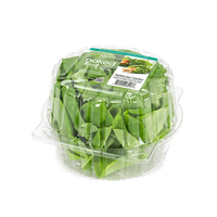 Lettuce Organic Butterhead PNG Download Free