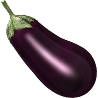 Photos Single Brinjal Eggplant Free Download Image