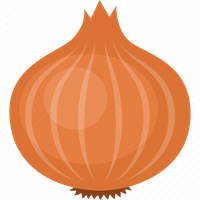 Brown Vector Onion Free Transparent Image HQ
