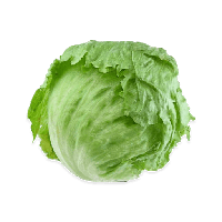 Lettuce Pic Green Butterhead Download HD