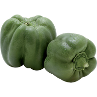 Fresh Pepper Green Bell Free Download Image