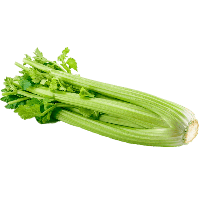 Celery Fresh Pic Green Free Download PNG HD