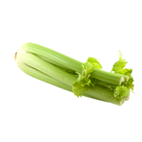 Celery Fresh Green Download HQ