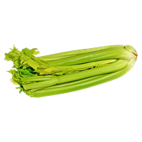 Celery Fresh Green Free HQ Image