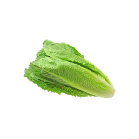 Fresh Green Photos Lettuce Free Download PNG HQ
