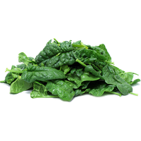 Fresh Green Spinach PNG Free Photo