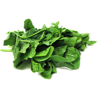 Fresh Green Photos Spinach Free PNG HQ