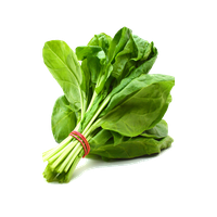 Fresh Green Spinach PNG File HD