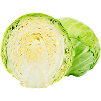 Fresh Cabbage Half Download HD
