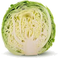 Fresh Cabbage Half Free Clipart HQ