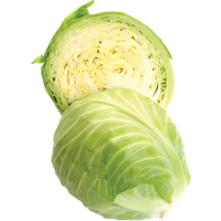 Fresh Cabbage Half Free Clipart HQ
