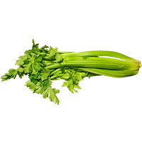 Celery Green Free PNG HQ