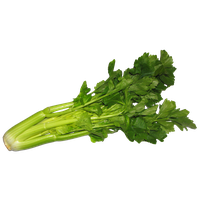 Celery Pic Green Free PNG HQ