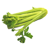 Celery Green Free Transparent Image HQ