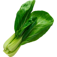 Green Spinach HD Image Free