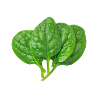 Green Spinach PNG File HD
