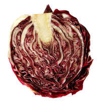 Cabbage Half Free PNG HQ