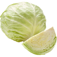 Cabbage Half PNG Image High Quality