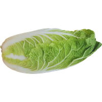 Cabbage Half Free Download Image