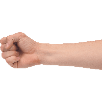 Punch Hand Free Download PNG HD