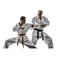 Karate Male Fighter Free Clipart HQ
