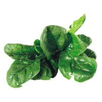Leaves Green Spinach PNG Free Photo
