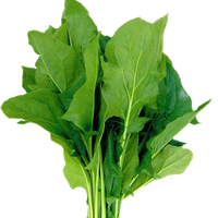 Leaves Green Spinach Free Clipart HQ